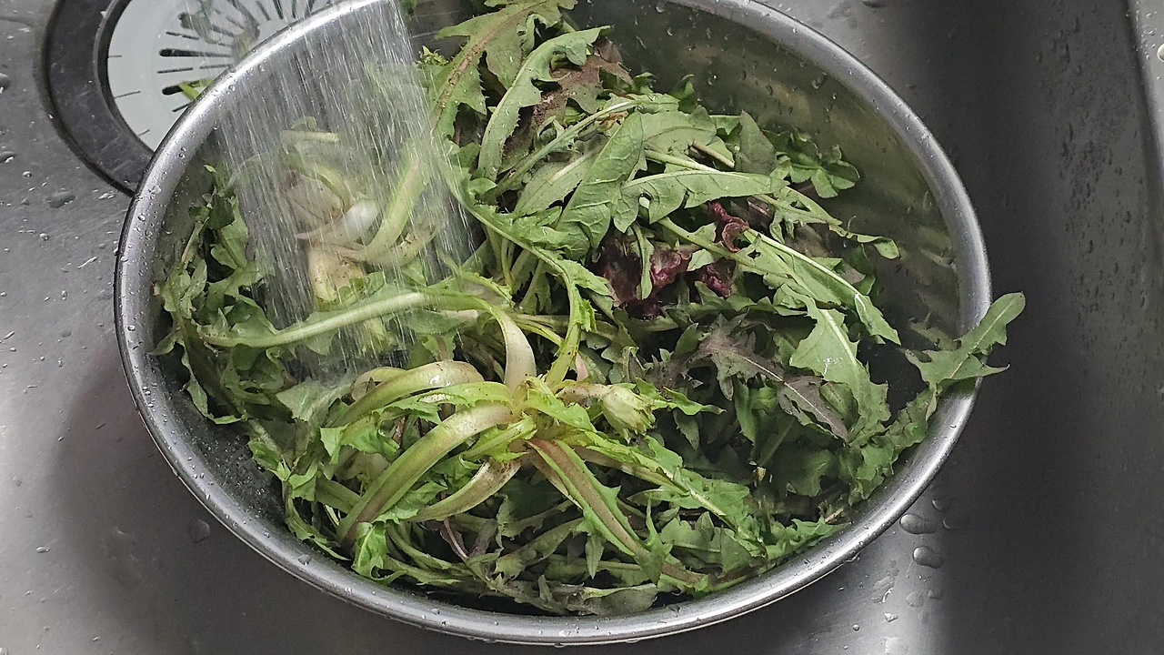 img.jpg?credential=yqXZFxpELC7KVnFOS48ylbz2pIh7yKj8&expires=1777561199&allow_ip=&allow_referer=&signature=LO6T%2BvcISch8Ml5GWYZ8fwfO98I%3D