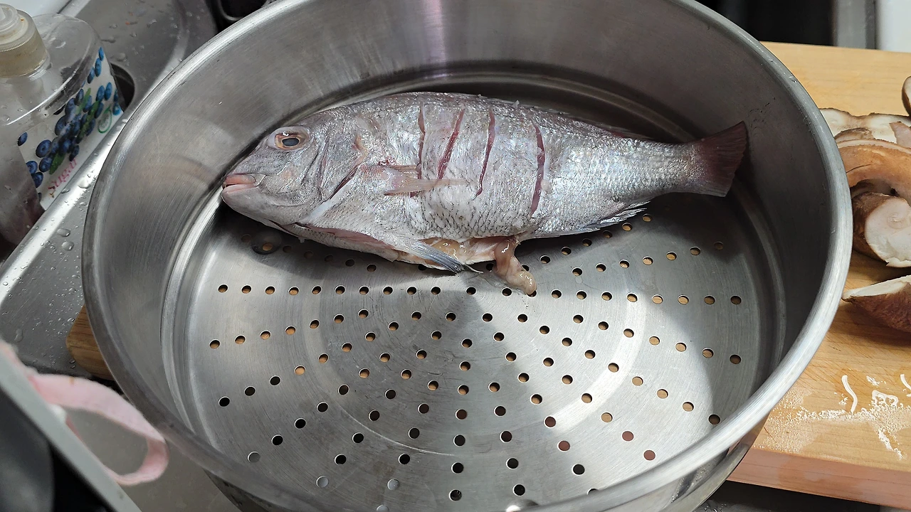 img.jpg?credential=yqXZFxpELC7KVnFOS48ylbz2pIh7yKj8&expires=1777561199&allow_ip=&allow_referer=&signature=SypG%2Bnnou4d9c5psY9AHQpWF5P0%3D