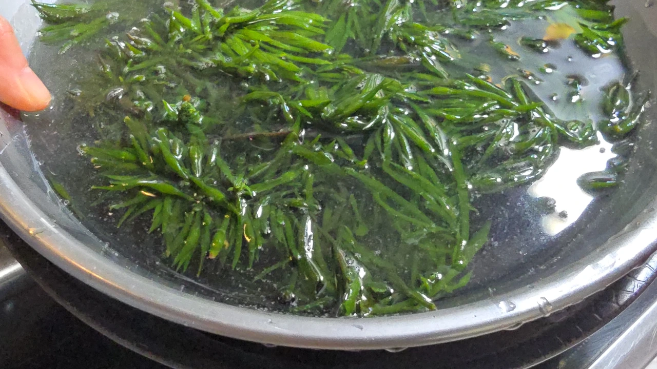 img.jpg?credential=yqXZFxpELC7KVnFOS48ylbz2pIh7yKj8&expires=1769871599&allow_ip=&allow_referer=&signature=EuGwYfLIk5flGH3PoOzoa7WzU38%3D