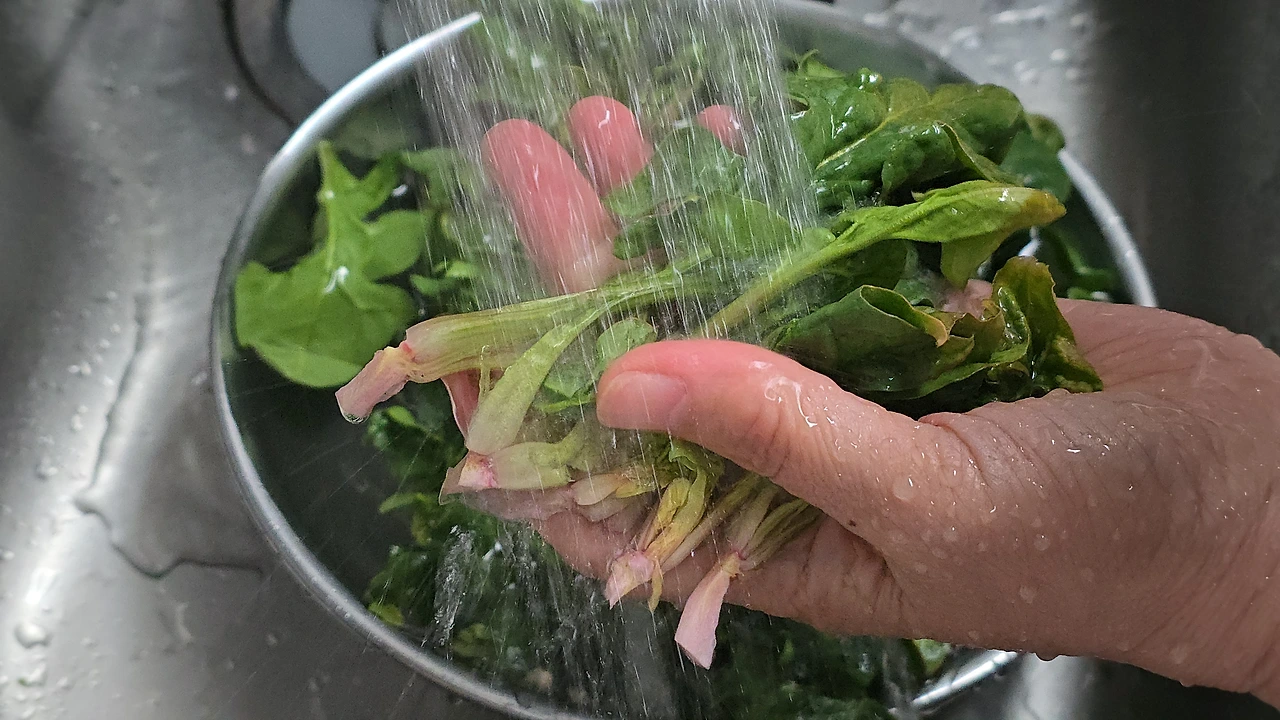 img.jpg?credential=yqXZFxpELC7KVnFOS48ylbz2pIh7yKj8&expires=1772290799&allow_ip=&allow_referer=&signature=5dX34RiKUvWc7f1jCBhMp2iTmeI%3D