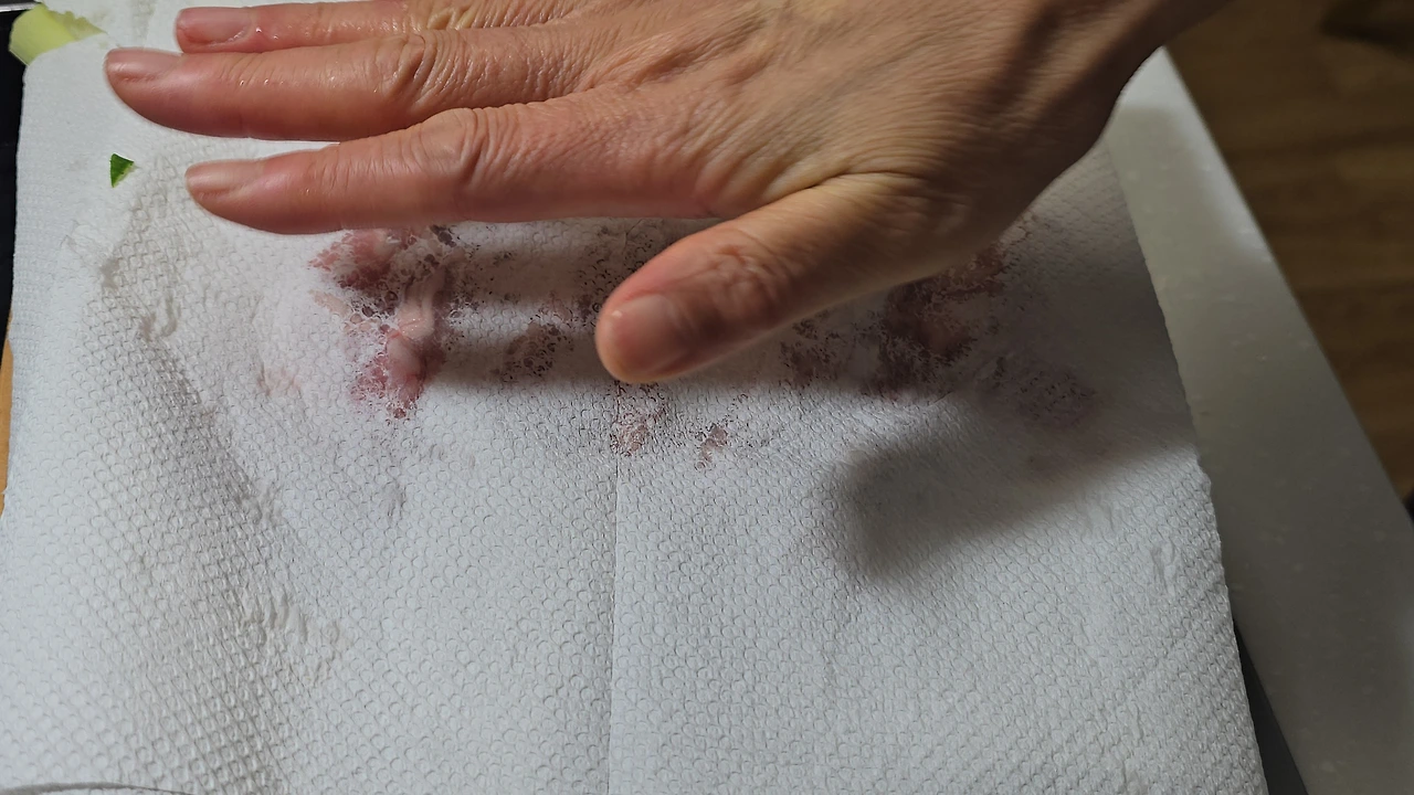 img.jpg?credential=yqXZFxpELC7KVnFOS48ylbz2pIh7yKj8&expires=1774969199&allow_ip=&allow_referer=&signature=TctsDnD6HlptK69rjrOknt%2FxtRI%3D