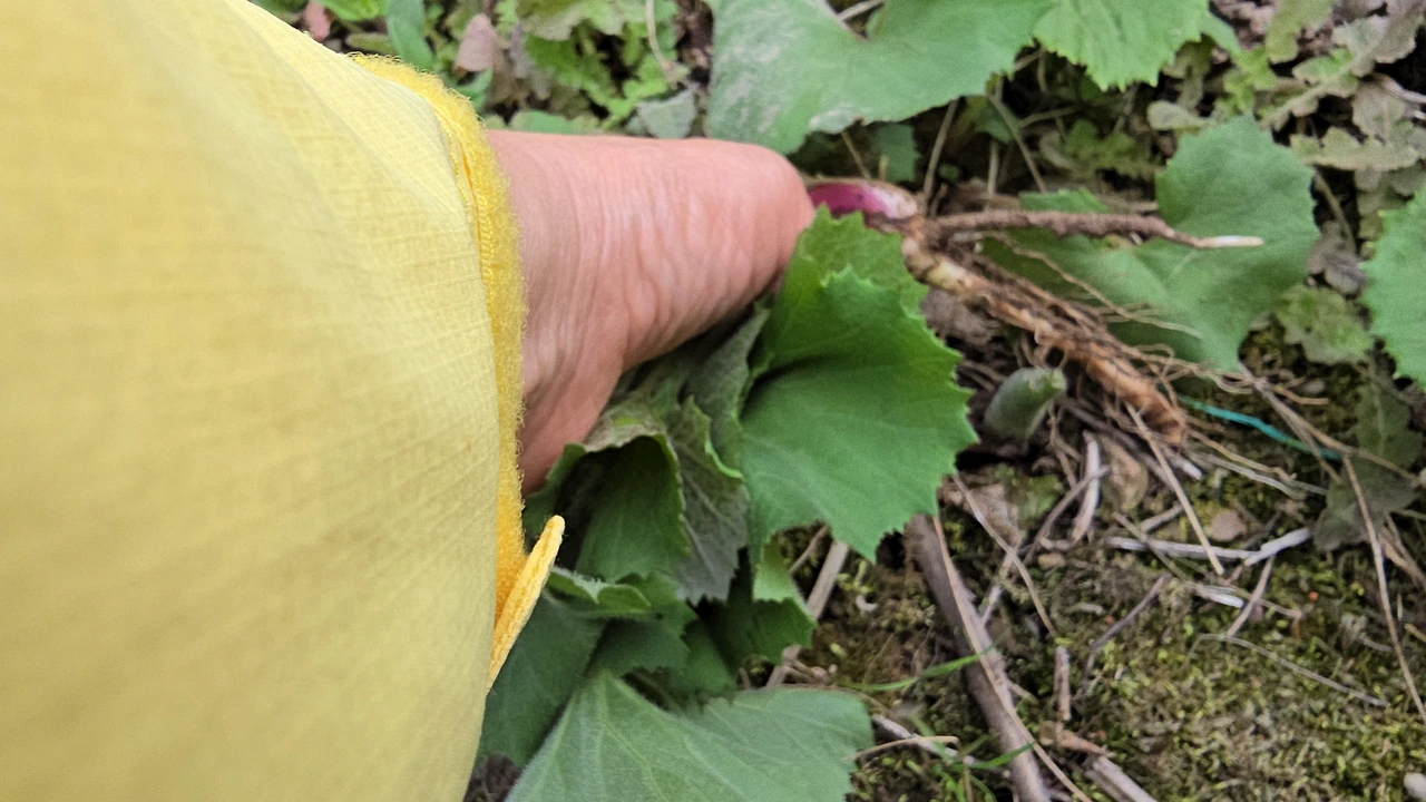 img.png?credential=yqXZFxpELC7KVnFOS48ylbz2pIh7yKj8&expires=1777561199&allow_ip=&allow_referer=&signature=5Z2DFk6gHMxgPI38VsQzE%2F6H%2BOI%3D