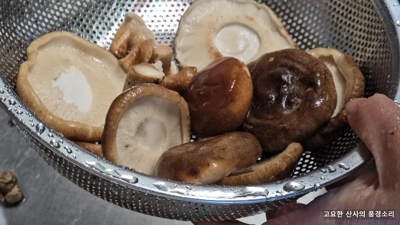 img.png?credential=yqXZFxpELC7KVnFOS48ylbz2pIh7yKj8&expires=1772290799&allow_ip=&allow_referer=&signature=4Npu3FOQjd8NHMpFIutDDW%2FTTwY%3D