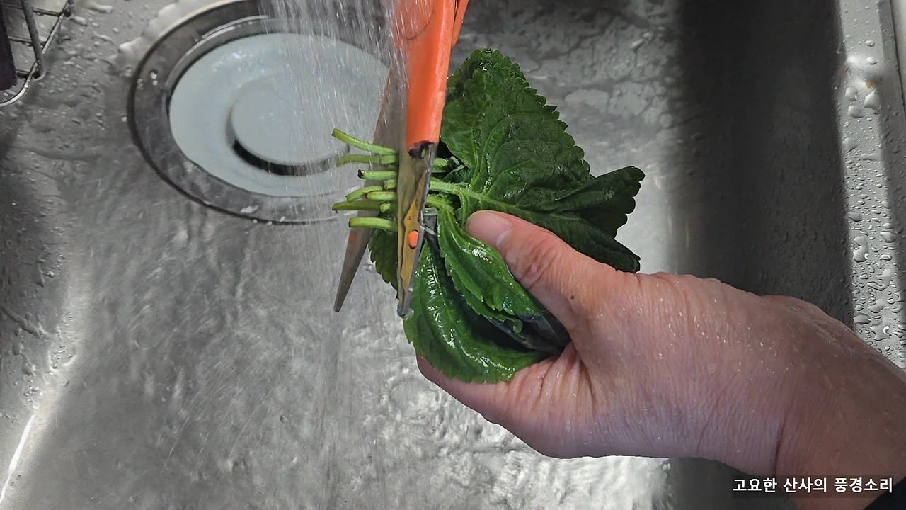 img.png?credential=yqXZFxpELC7KVnFOS48ylbz2pIh7yKj8&expires=1772290799&allow_ip=&allow_referer=&signature=SBSh%2FW8zSR7MkuK6YcTMf1Y1hQA%3D