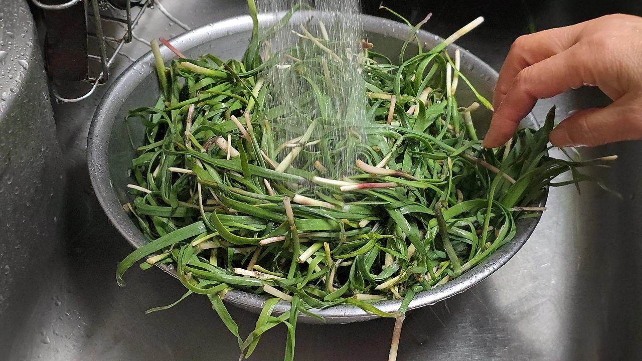 img.jpg?credential=yqXZFxpELC7KVnFOS48ylbz2pIh7yKj8&expires=1777561199&allow_ip=&allow_referer=&signature=xpnhmp7xAmGnlrXOvR9NUHTTrlE%3D