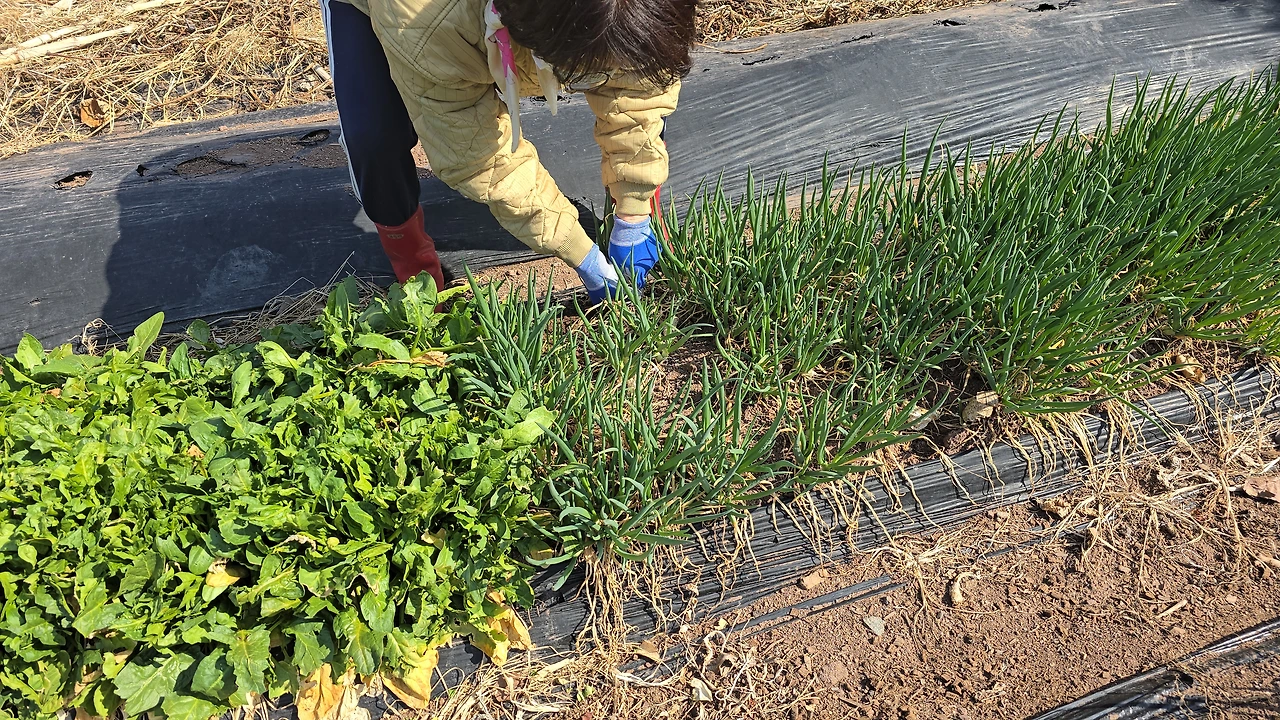 img.jpg?credential=yqXZFxpELC7KVnFOS48ylbz2pIh7yKj8&expires=1777561199&allow_ip=&allow_referer=&signature=OmnfHR79dzTnqs%2BGOCUG%2FSKr2u0%3D