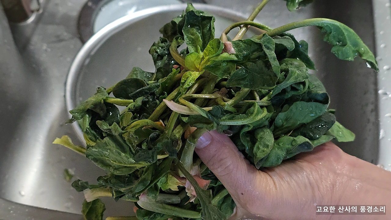 img.png?credential=yqXZFxpELC7KVnFOS48ylbz2pIh7yKj8&expires=1774969199&allow_ip=&allow_referer=&signature=OXUW%2FdYci7Szcxa9aMHGNofmMwk%3D