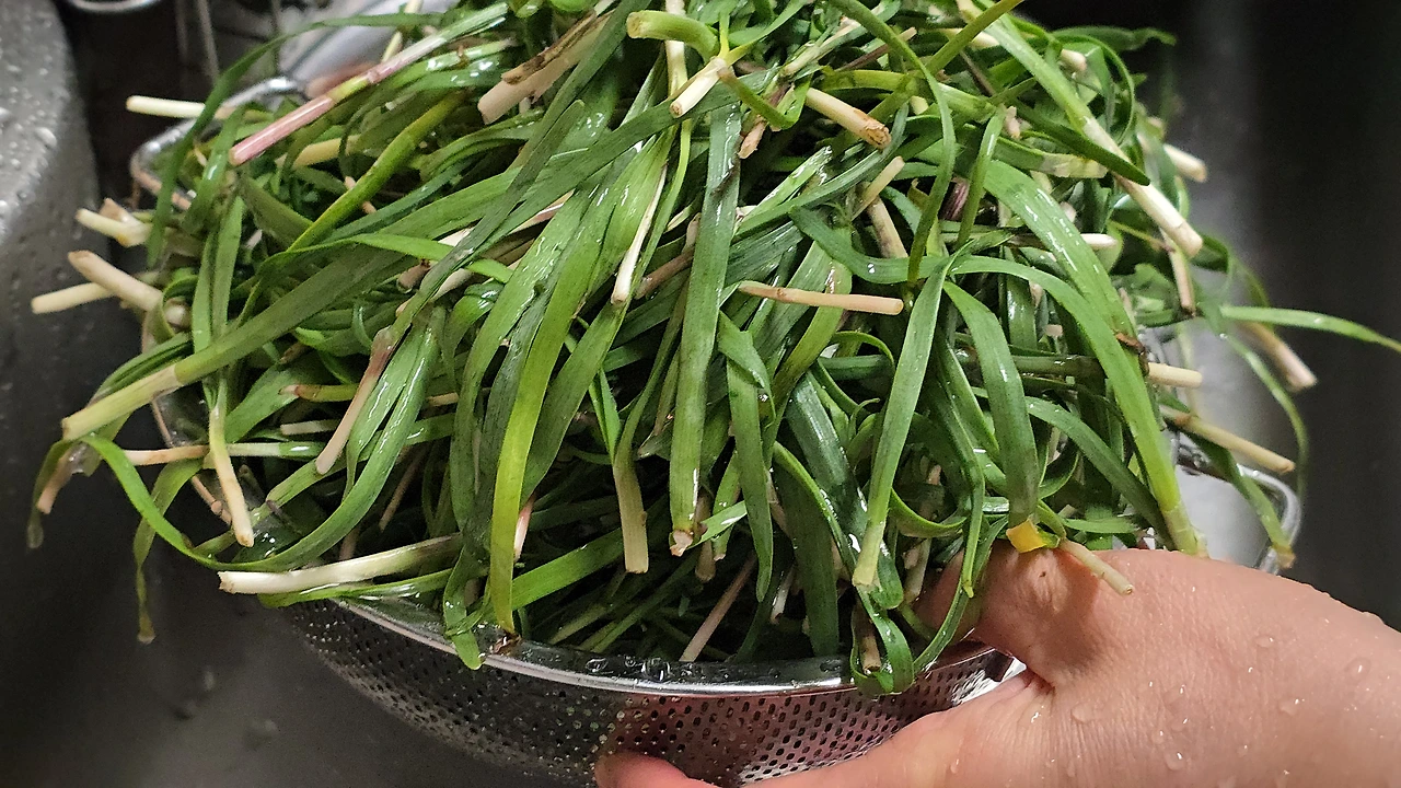 img.jpg?credential=yqXZFxpELC7KVnFOS48ylbz2pIh7yKj8&expires=1777561199&allow_ip=&allow_referer=&signature=yRsszPlXdHM62XeqZMxxjeN3bqQ%3D