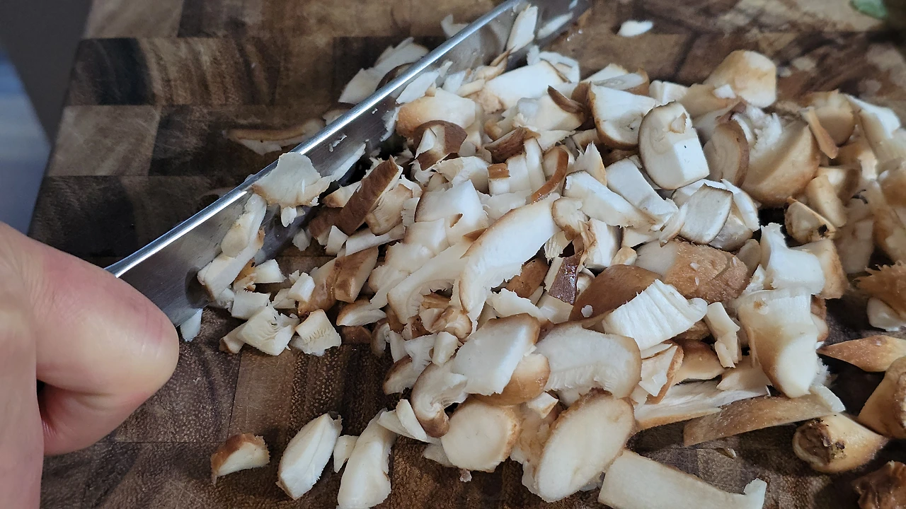 img.jpg?credential=yqXZFxpELC7KVnFOS48ylbz2pIh7yKj8&expires=1769871599&allow_ip=&allow_referer=&signature=w1qJObImmszxjdvUEB02mZ8bTgE%3D