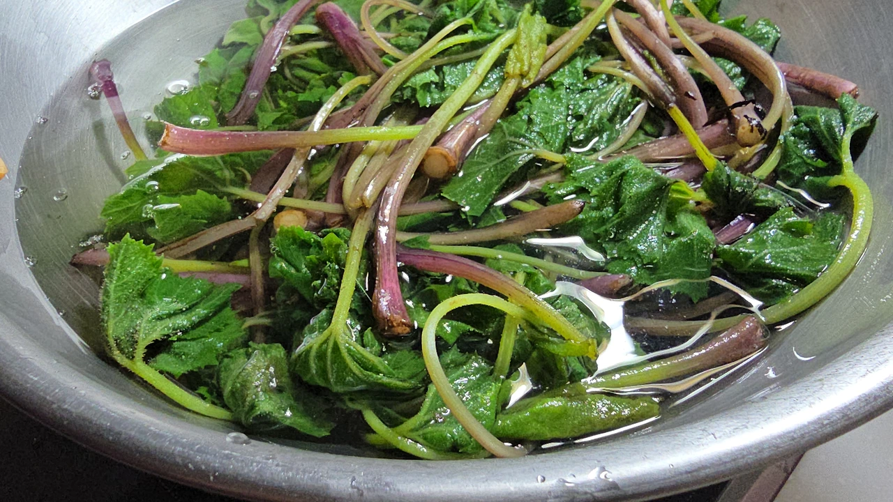 img.jpg?credential=yqXZFxpELC7KVnFOS48ylbz2pIh7yKj8&expires=1774969199&allow_ip=&allow_referer=&signature=c2KySsFTX2r57F2bWOhwGRb79JQ%3D