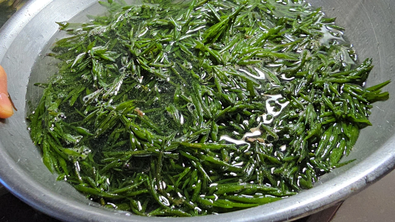 img.jpg?credential=yqXZFxpELC7KVnFOS48ylbz2pIh7yKj8&expires=1772290799&allow_ip=&allow_referer=&signature=psKwt1y%2Fi8FY83XXyzxFfvHxqN4%3D