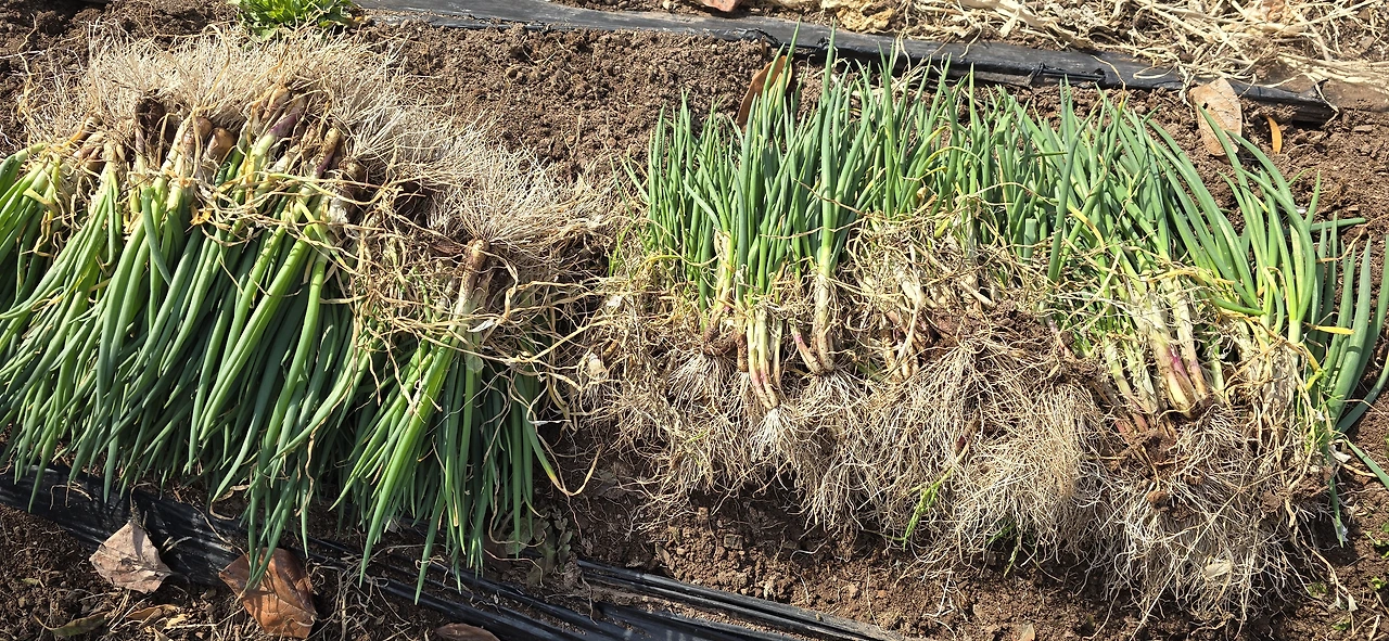 img.jpg?credential=yqXZFxpELC7KVnFOS48ylbz2pIh7yKj8&expires=1777561199&allow_ip=&allow_referer=&signature=NTEHCT0LaTuFu1AL5skkLx1QRcs%3D