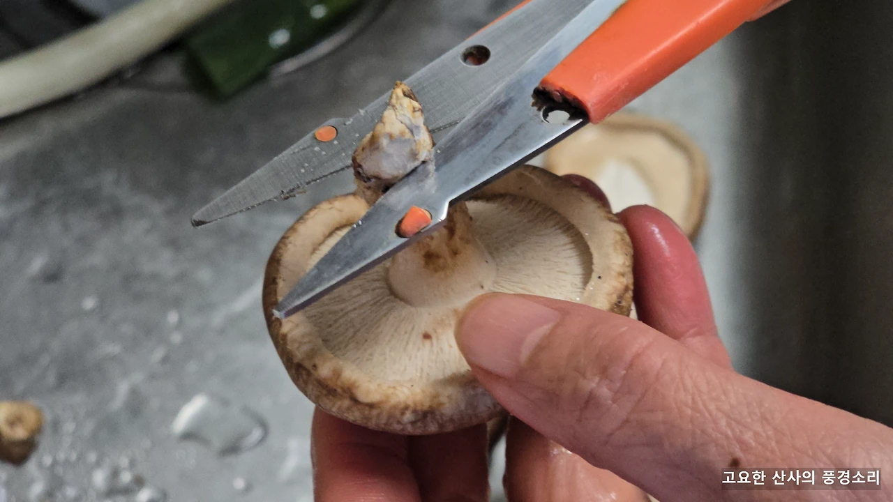 img.png?credential=yqXZFxpELC7KVnFOS48ylbz2pIh7yKj8&expires=1772290799&allow_ip=&allow_referer=&signature=I2Vzt%2BxPm3k%2FQ1cyVnPi1BeItO4%3D