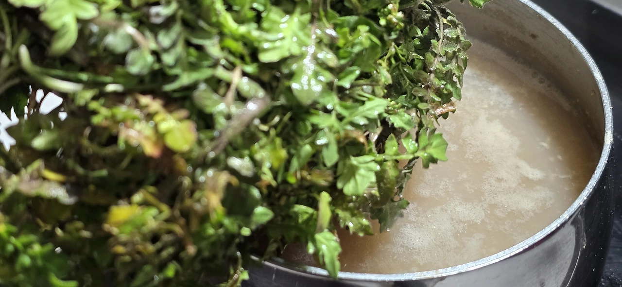 img.jpg?credential=yqXZFxpELC7KVnFOS48ylbz2pIh7yKj8&expires=1774969199&allow_ip=&allow_referer=&signature=InNUFIa2LTfn2Zx2iDV4v%2FspEs0%3D