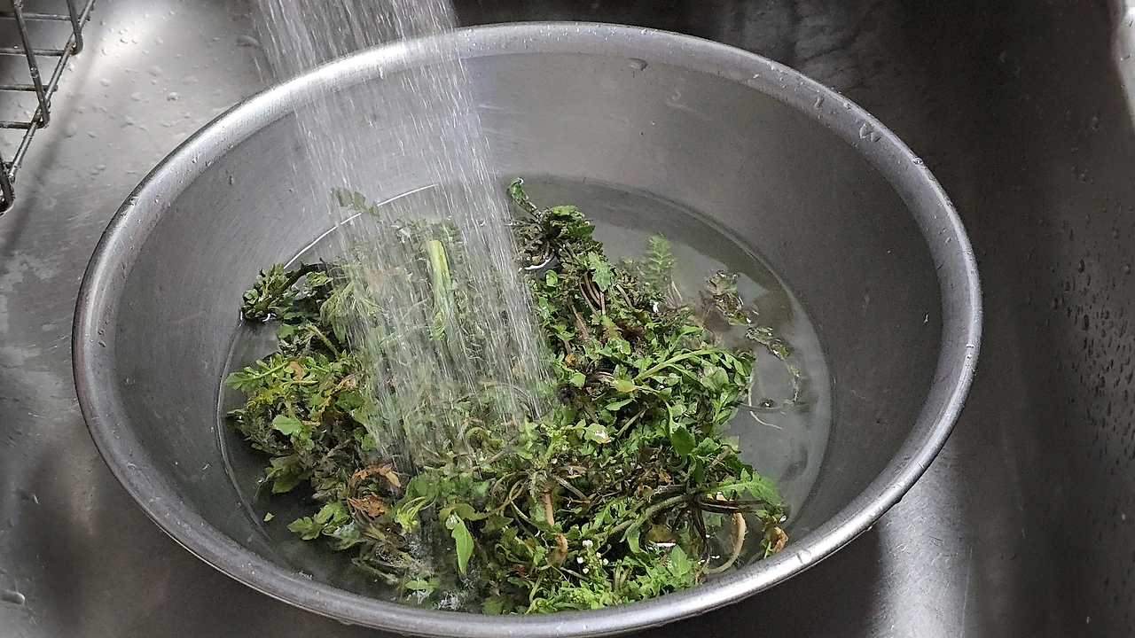 img.jpg?credential=yqXZFxpELC7KVnFOS48ylbz2pIh7yKj8&expires=1774969199&allow_ip=&allow_referer=&signature=NssvLWdMDvw%2FlEH1rdSAiNEf5Ks%3D