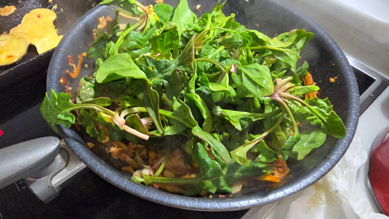 img.jpg?credential=yqXZFxpELC7KVnFOS48ylbz2pIh7yKj8&expires=1772290799&allow_ip=&allow_referer=&signature=gEFku4jS7dtRA6BZEM0Z5A5Zvgg%3D