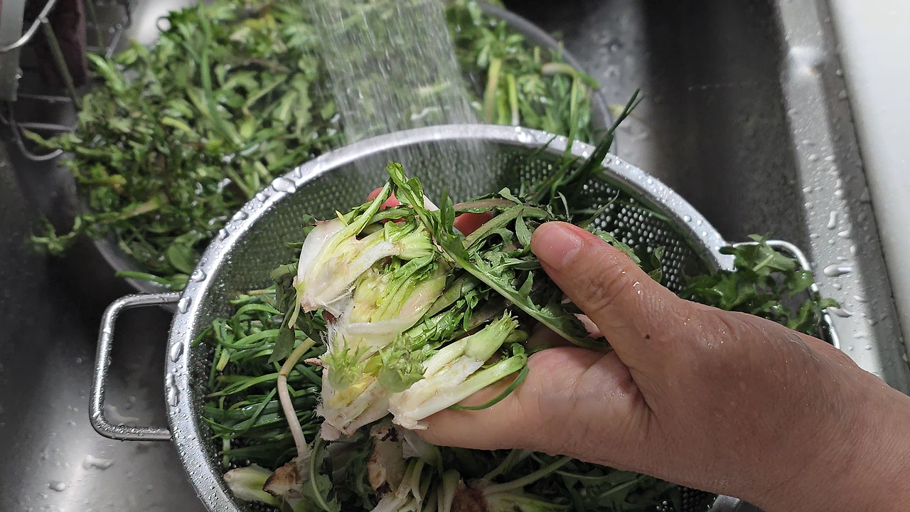 img.jpg?credential=yqXZFxpELC7KVnFOS48ylbz2pIh7yKj8&expires=1777561199&allow_ip=&allow_referer=&signature=NGH1UJXb%2Fu8cZsN6h5wKYnH%2FO4U%3D