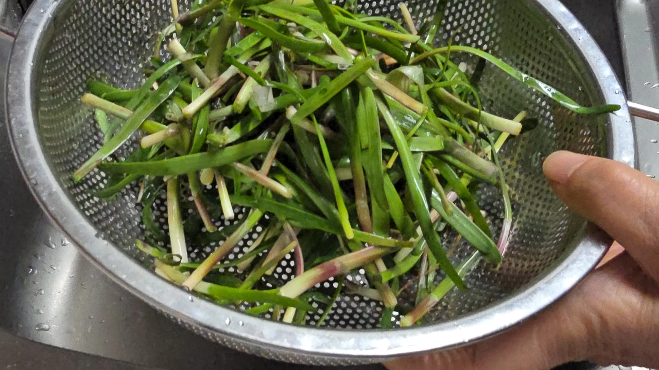 img.jpg?credential=yqXZFxpELC7KVnFOS48ylbz2pIh7yKj8&expires=1774969199&allow_ip=&allow_referer=&signature=UUN%2F41z2IDW4%2F%2FTK2iJFGXPTHs8%3D