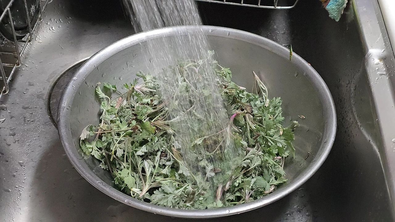 img.jpg?credential=yqXZFxpELC7KVnFOS48ylbz2pIh7yKj8&expires=1774969199&allow_ip=&allow_referer=&signature=zhsngFsYWDtVliVBezvWi7b0xQc%3D