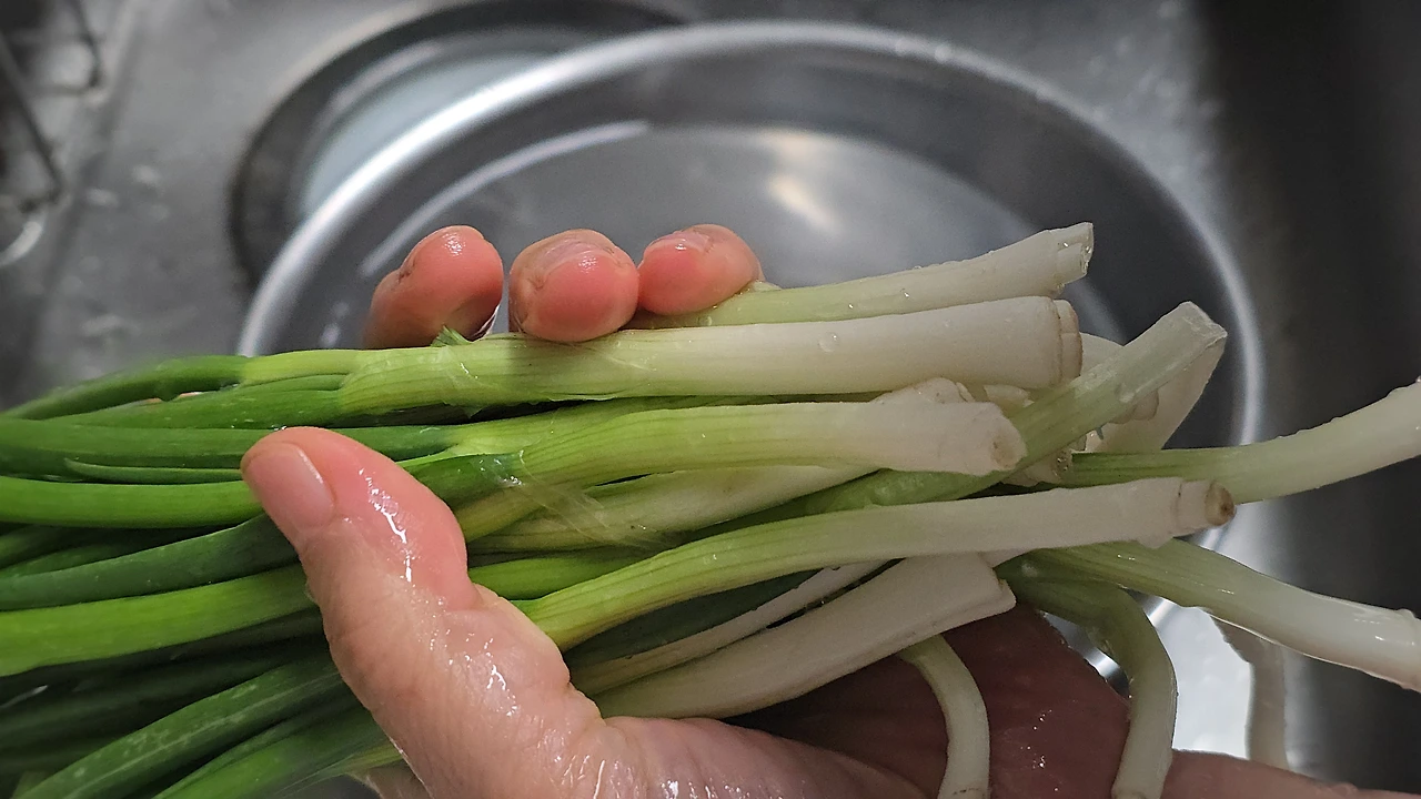 img.jpg?credential=yqXZFxpELC7KVnFOS48ylbz2pIh7yKj8&expires=1777561199&allow_ip=&allow_referer=&signature=O4rKgbiGaBEKjY%2By4nDqqiQIxwA%3D