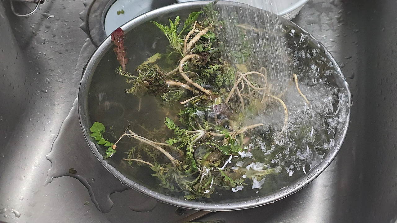 img.jpg?credential=yqXZFxpELC7KVnFOS48ylbz2pIh7yKj8&expires=1774969199&allow_ip=&allow_referer=&signature=t2nPBhHQmUfEdnJZothffBGduXg%3D