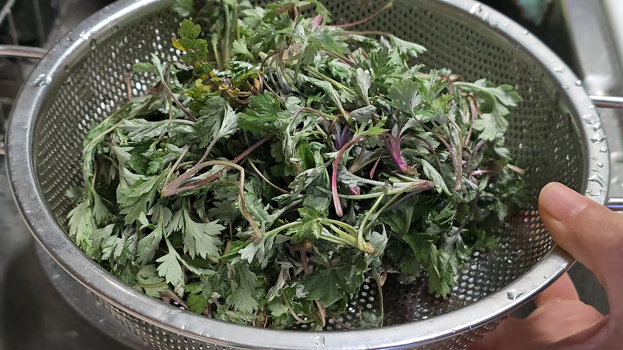 img.jpg?credential=yqXZFxpELC7KVnFOS48ylbz2pIh7yKj8&expires=1774969199&allow_ip=&allow_referer=&signature=1uF77iUtsxUWwcPm7zKxwD77wnc%3D