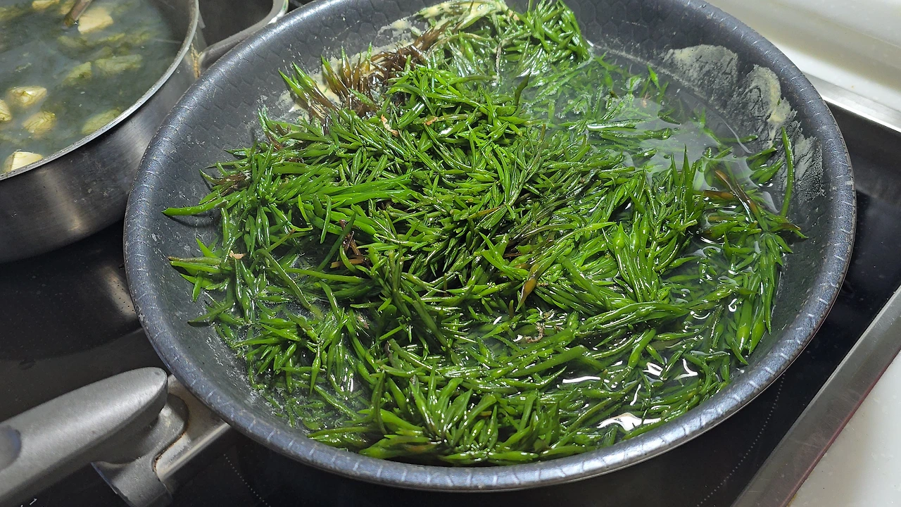 img.jpg?credential=yqXZFxpELC7KVnFOS48ylbz2pIh7yKj8&expires=1772290799&allow_ip=&allow_referer=&signature=cQJWfo%2FEN3ltrQVXCo5Jp84mtCw%3D