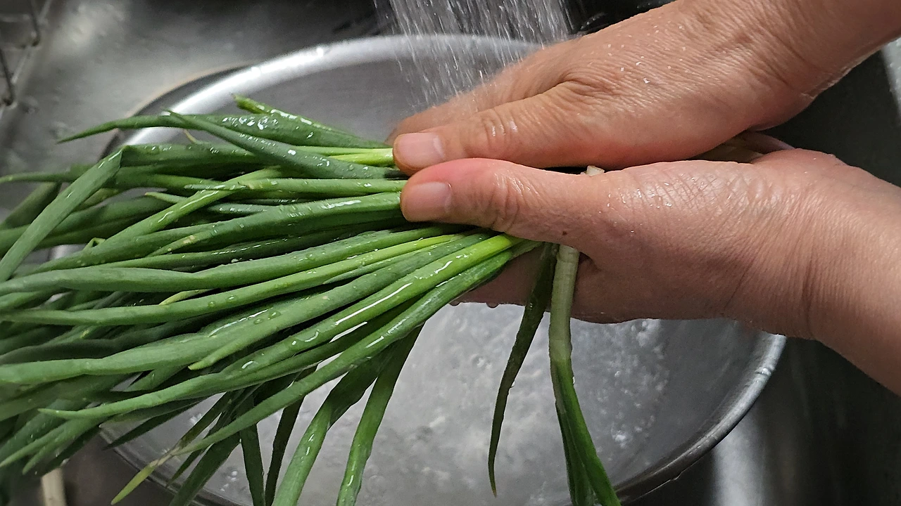 img.jpg?credential=yqXZFxpELC7KVnFOS48ylbz2pIh7yKj8&expires=1774969199&allow_ip=&allow_referer=&signature=HlWH49T3ekCUzoocrwQ1KvV9jdw%3D