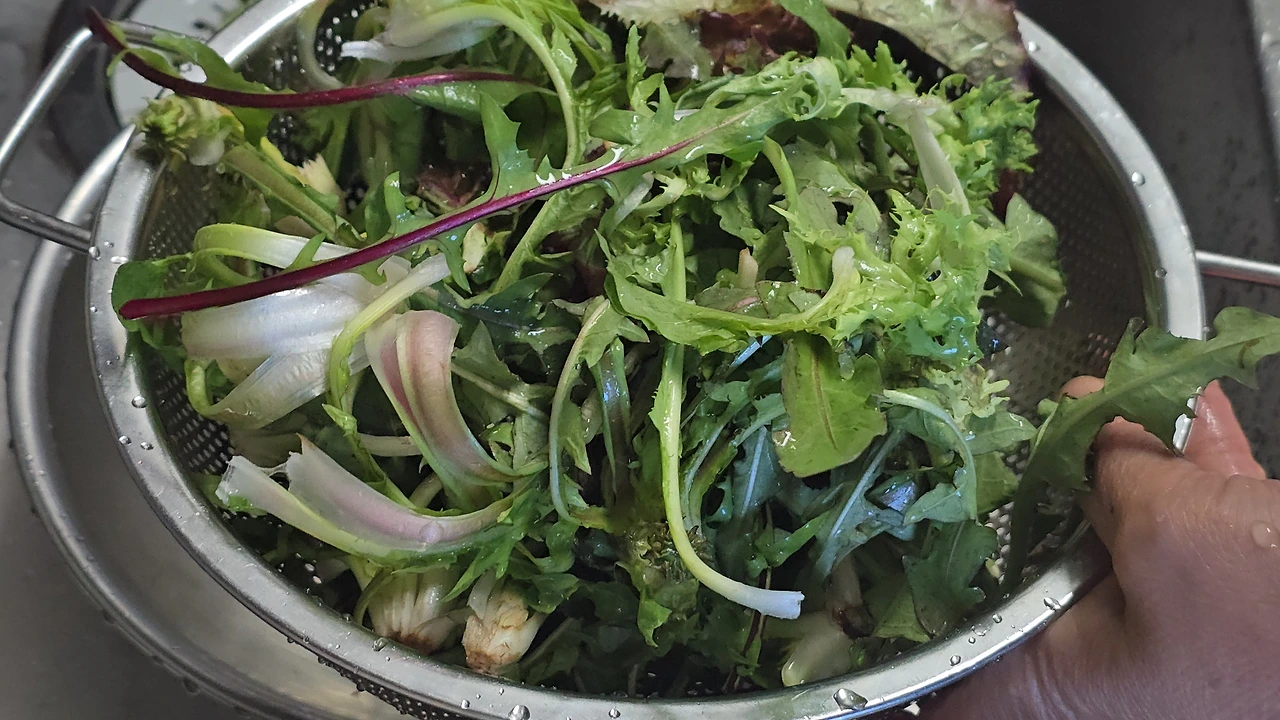 img.jpg?credential=yqXZFxpELC7KVnFOS48ylbz2pIh7yKj8&expires=1777561199&allow_ip=&allow_referer=&signature=dLcLXWWujynq62omZtIYf1eRgM4%3D