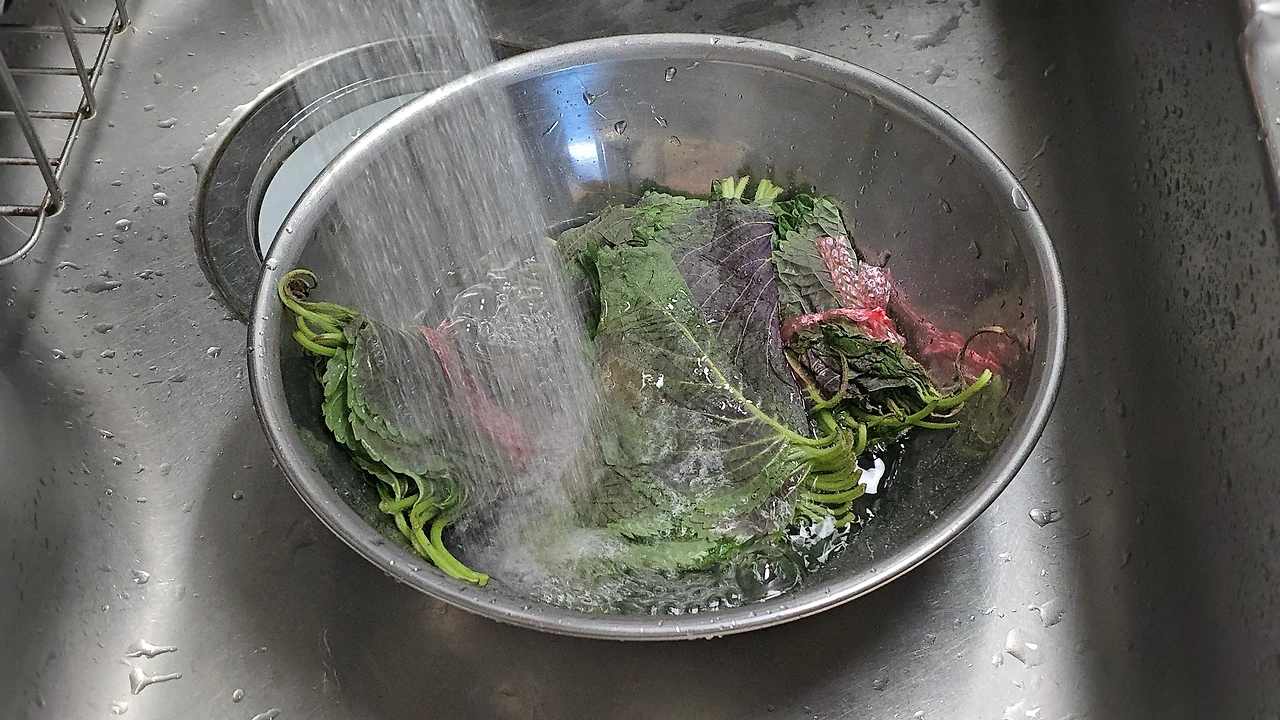 img.jpg?credential=yqXZFxpELC7KVnFOS48ylbz2pIh7yKj8&expires=1769871599&allow_ip=&allow_referer=&signature=IngdmjvCLLk8gi4ehQ5tSwSLUHc%3D