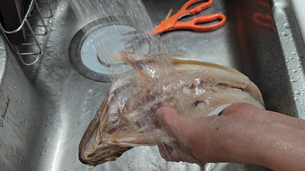 img.jpg?credential=yqXZFxpELC7KVnFOS48ylbz2pIh7yKj8&expires=1774969199&allow_ip=&allow_referer=&signature=OwmPm7NrNvZvZFrP%2BVCmnBjepBc%3D