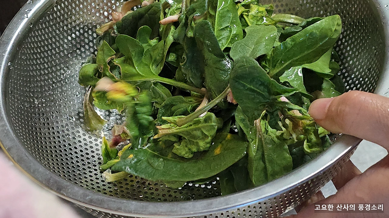 img.png?credential=yqXZFxpELC7KVnFOS48ylbz2pIh7yKj8&expires=1769871599&allow_ip=&allow_referer=&signature=%2FuOd%2Bw1WuDSA6CrrEU8cbAqIvCo%3D