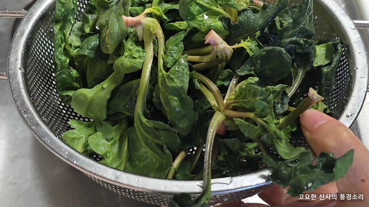 img.png?credential=yqXZFxpELC7KVnFOS48ylbz2pIh7yKj8&expires=1774969199&allow_ip=&allow_referer=&signature=WpFu%2Br33QeowjNcOXFbtcYQzLJw%3D