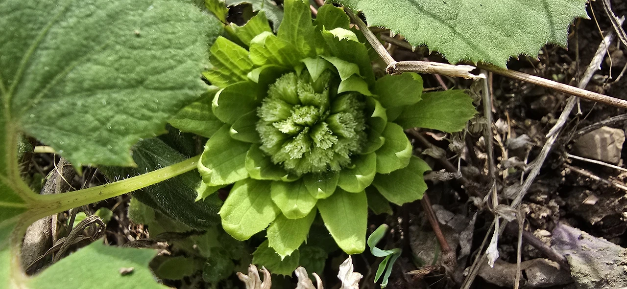 img.jpg?credential=yqXZFxpELC7KVnFOS48ylbz2pIh7yKj8&expires=1777561199&allow_ip=&allow_referer=&signature=hyjOyZdfWjuHc6%2B9mtnR8E4KJt8%3D