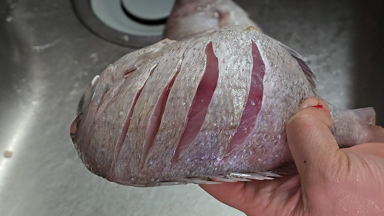 img.jpg?credential=yqXZFxpELC7KVnFOS48ylbz2pIh7yKj8&expires=1777561199&allow_ip=&allow_referer=&signature=6bZIPvs055MXSYtbGssiDv1Yqqw%3D