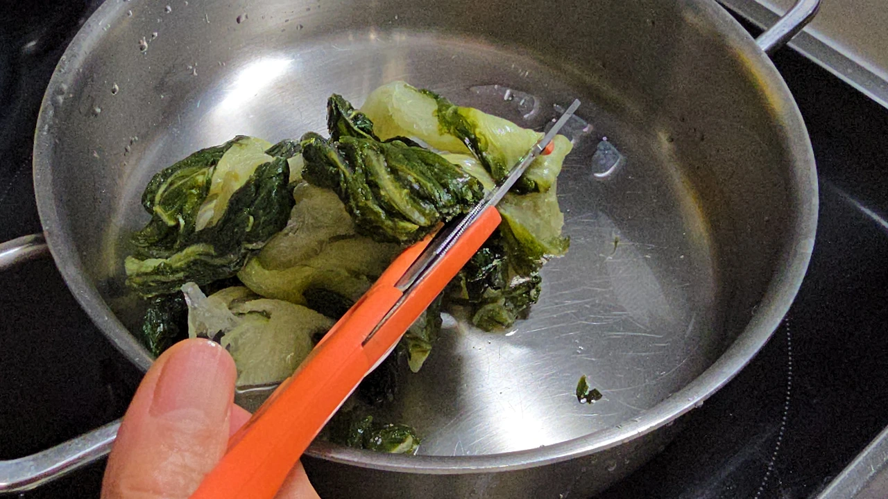 img.jpg?credential=yqXZFxpELC7KVnFOS48ylbz2pIh7yKj8&expires=1772290799&allow_ip=&allow_referer=&signature=j5eTXbUqBiNz%2BgEvr3SWUy1iU3Q%3D