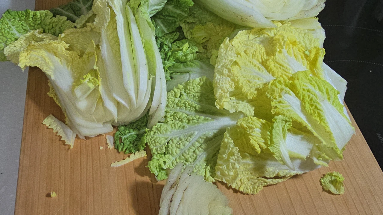 img.jpg?credential=yqXZFxpELC7KVnFOS48ylbz2pIh7yKj8&expires=1774969199&allow_ip=&allow_referer=&signature=HbM2J%2FSBz%2BFaR5w447ThLvmxr3w%3D