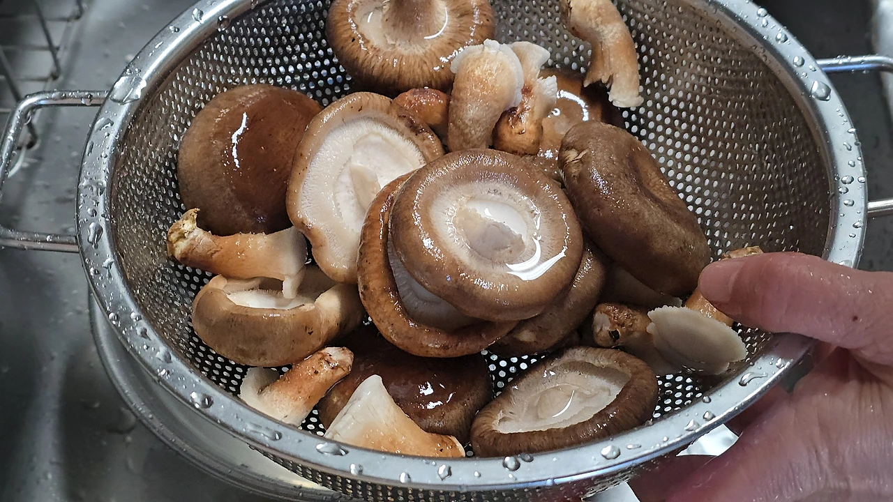 img.jpg?credential=yqXZFxpELC7KVnFOS48ylbz2pIh7yKj8&expires=1769871599&allow_ip=&allow_referer=&signature=5K%2FYqwtIz9IXxc7HR%2F8yd96RlcU%3D