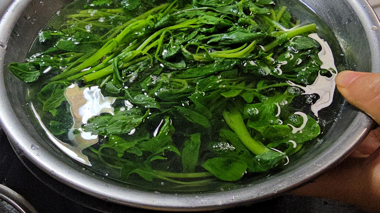 img.jpg?credential=yqXZFxpELC7KVnFOS48ylbz2pIh7yKj8&expires=1777561199&allow_ip=&allow_referer=&signature=cYtcZ8WVoTUxicSTCuPKKSIm1sc%3D