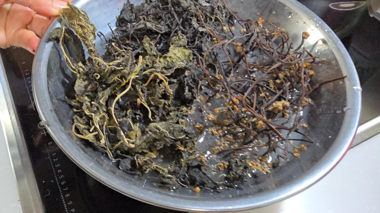 img.jpg?credential=yqXZFxpELC7KVnFOS48ylbz2pIh7yKj8&expires=1774969199&allow_ip=&allow_referer=&signature=BabN6eT6zp3sAiJ2kjZp%2F36q1eM%3D