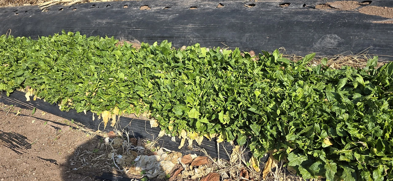 img.jpg?credential=yqXZFxpELC7KVnFOS48ylbz2pIh7yKj8&expires=1774969199&allow_ip=&allow_referer=&signature=awml%2Fek2DvqFKeOqTs3%2BH%2BnoPi0%3D