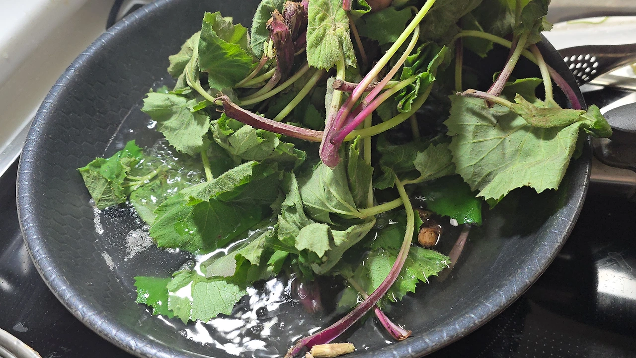 img.jpg?credential=yqXZFxpELC7KVnFOS48ylbz2pIh7yKj8&expires=1777561199&allow_ip=&allow_referer=&signature=uiId%2FdcamGUlh2agqj9x7Oc2fTM%3D