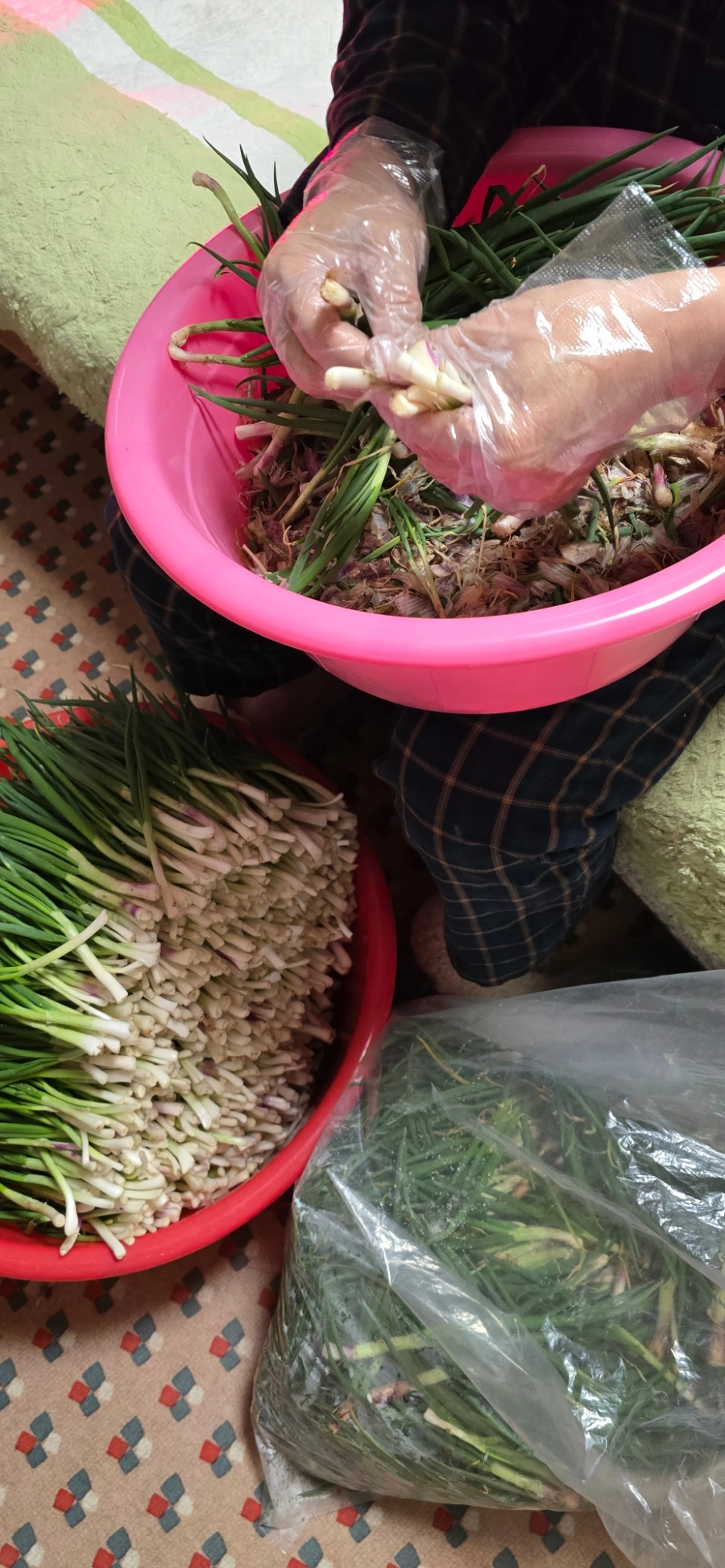 img.jpg?credential=yqXZFxpELC7KVnFOS48ylbz2pIh7yKj8&expires=1777561199&allow_ip=&allow_referer=&signature=YhT0YWXikntdhuyDpOerQllqnK0%3D