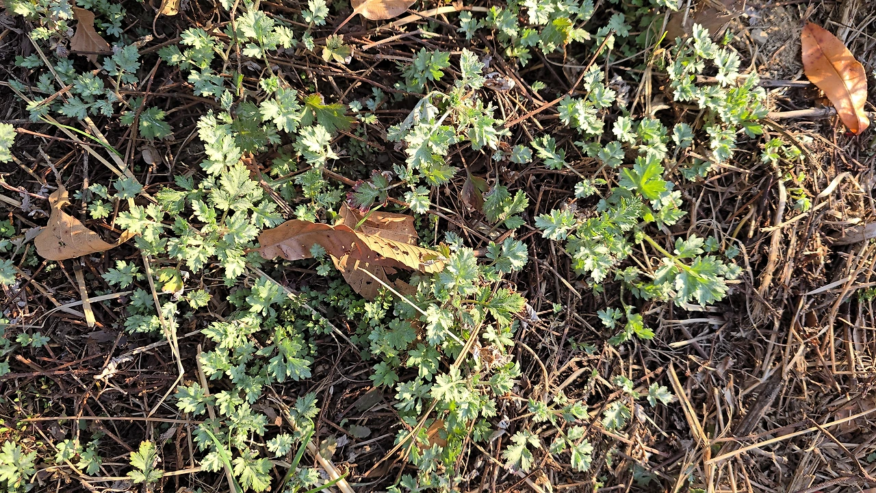 img.jpg?credential=yqXZFxpELC7KVnFOS48ylbz2pIh7yKj8&expires=1774969199&allow_ip=&allow_referer=&signature=w20vi6P8FtiCCbFP%2BN8zmifUZiY%3D