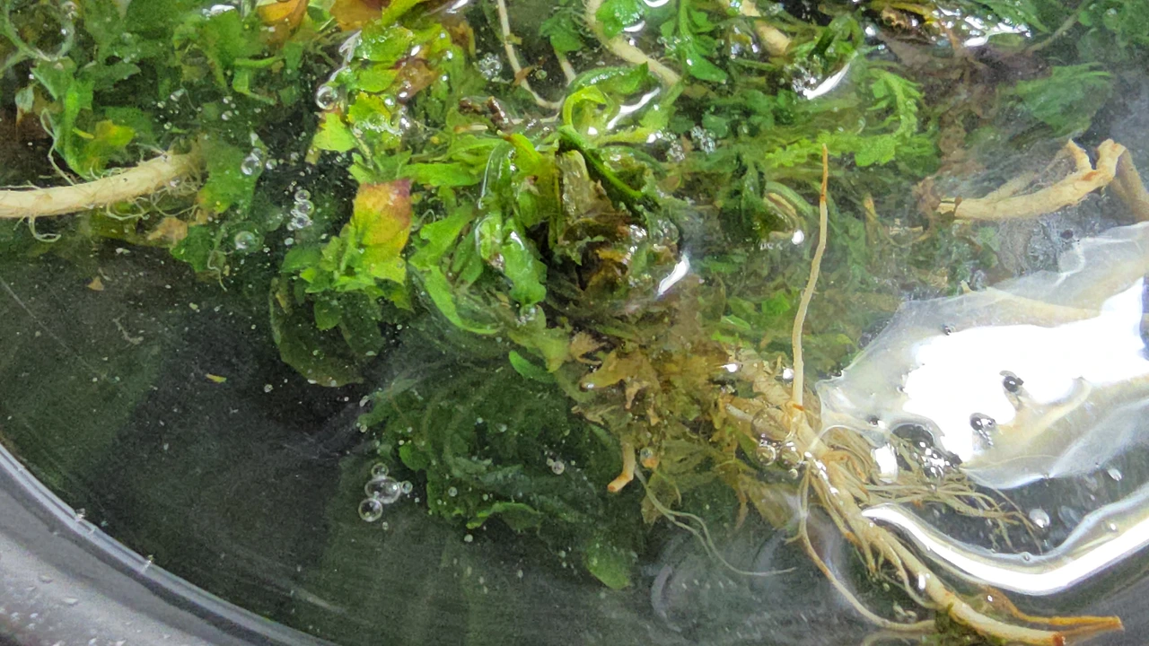 img.jpg?credential=yqXZFxpELC7KVnFOS48ylbz2pIh7yKj8&expires=1772290799&allow_ip=&allow_referer=&signature=9qa7PuDDM%2Fr3SoG0m8qe5qjc6UM%3D