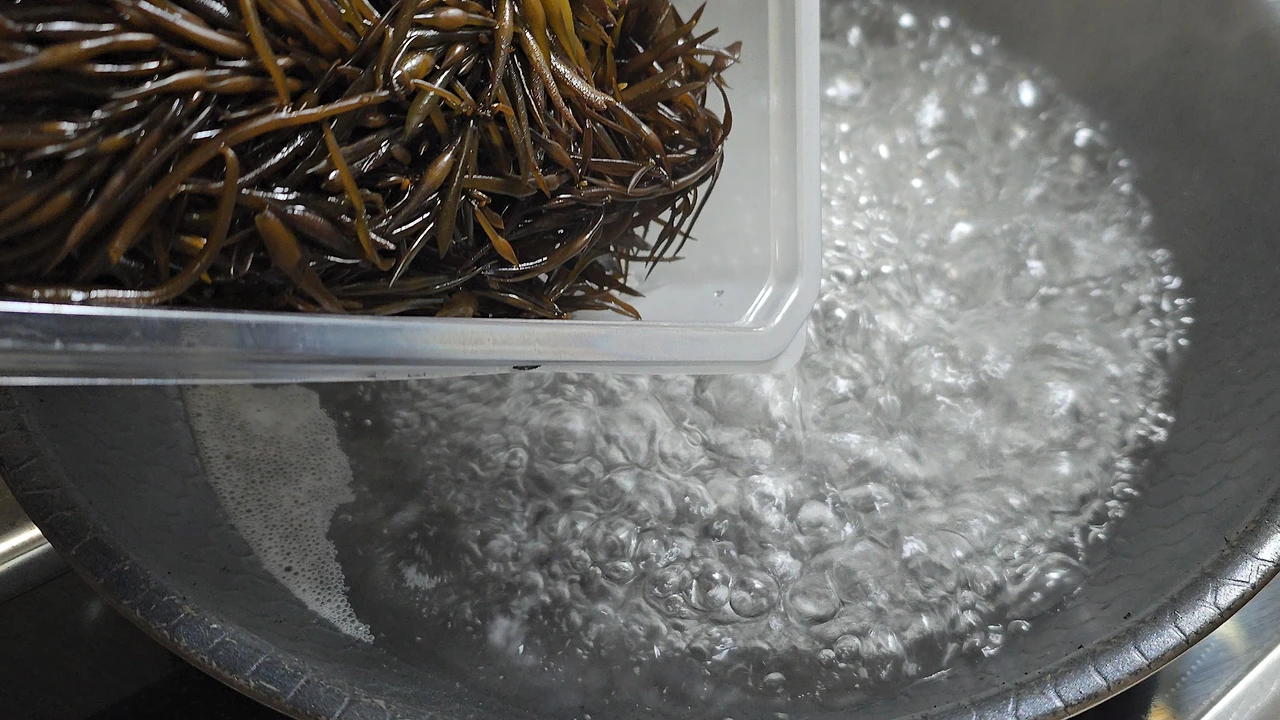 img.jpg?credential=yqXZFxpELC7KVnFOS48ylbz2pIh7yKj8&expires=1769871599&allow_ip=&allow_referer=&signature=M8%2FMb3zOx1QIZd5pskiK1nhz3i8%3D