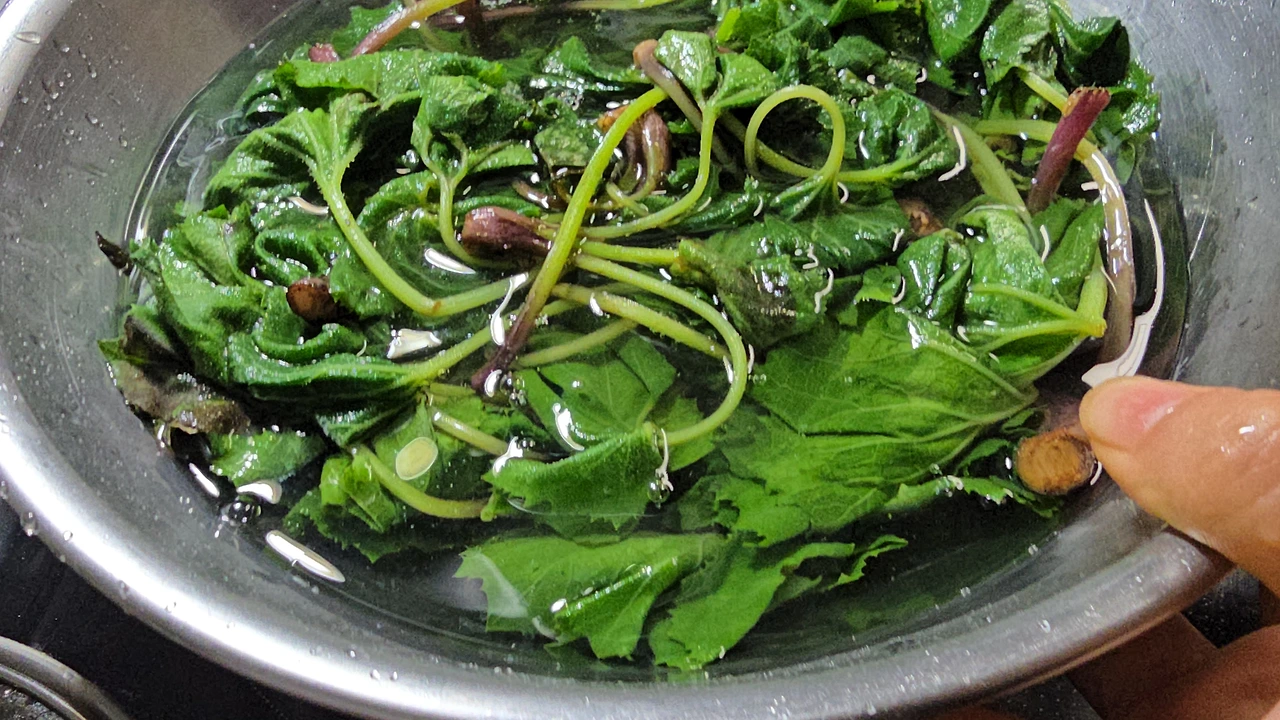 img.jpg?credential=yqXZFxpELC7KVnFOS48ylbz2pIh7yKj8&expires=1777561199&allow_ip=&allow_referer=&signature=7xz4hcWIEXNUFnxfhCM0pWNBIBg%3D