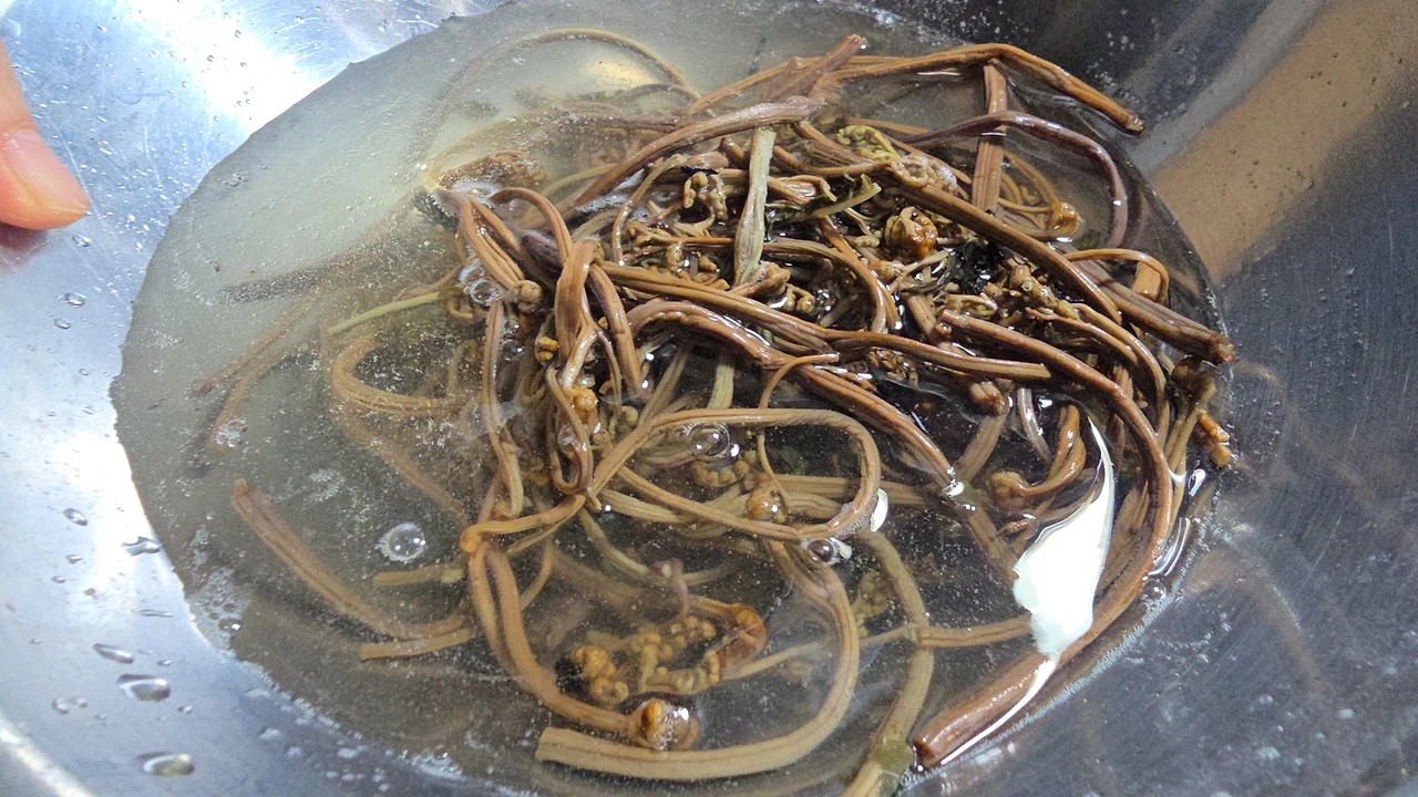 img.jpg?credential=yqXZFxpELC7KVnFOS48ylbz2pIh7yKj8&expires=1774969199&allow_ip=&allow_referer=&signature=M8EiJLKB9CxDBT6W9VpuDjJnLP8%3D