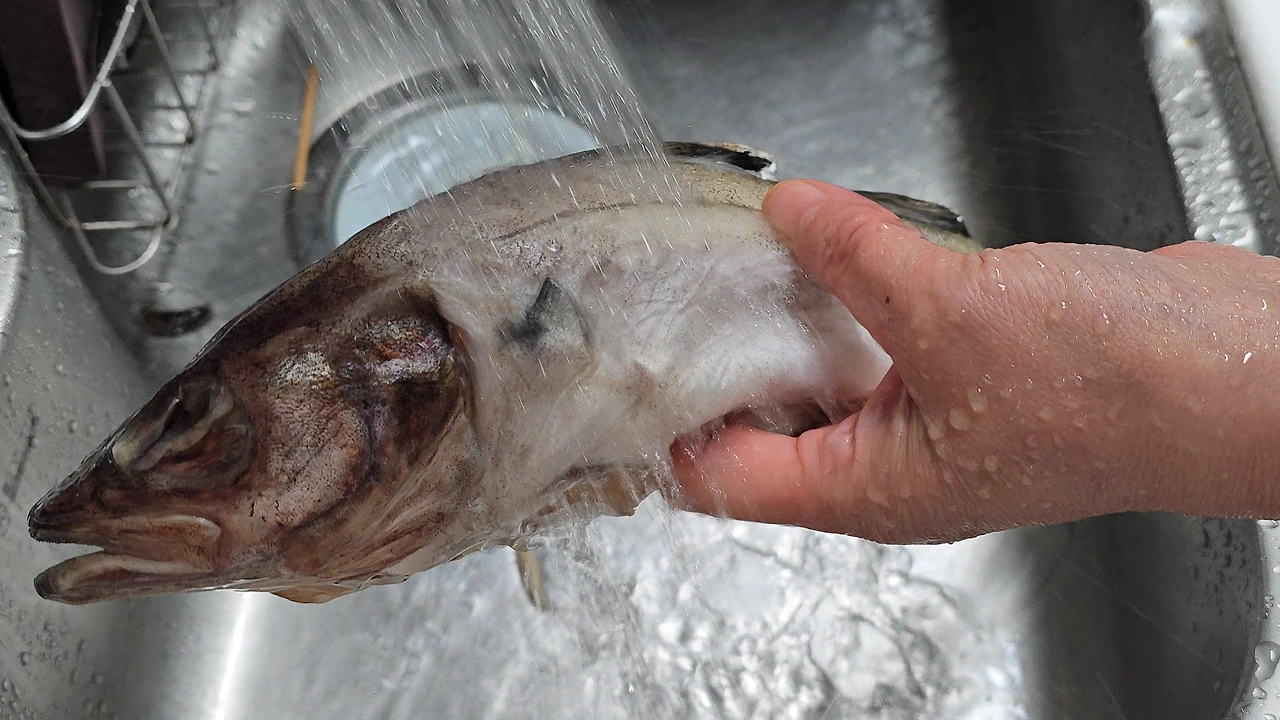 img.jpg?credential=yqXZFxpELC7KVnFOS48ylbz2pIh7yKj8&expires=1774969199&allow_ip=&allow_referer=&signature=74ozeN%2FIuO0oOpBe1UGw4Yy%2BxiM%3D