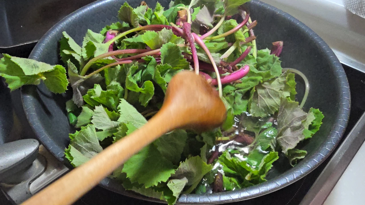 img.jpg?credential=yqXZFxpELC7KVnFOS48ylbz2pIh7yKj8&expires=1774969199&allow_ip=&allow_referer=&signature=jSZHfkUv5dD3TGdjOJly2rSrx6w%3D